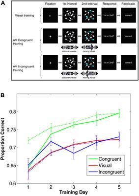 Crossmodal interactions in human learning and memory